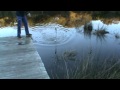 Reel Fishing Tasmania X Bunger And The Whip