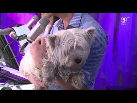 Eddies sista dag på jobbet - VAKNA med NRJ