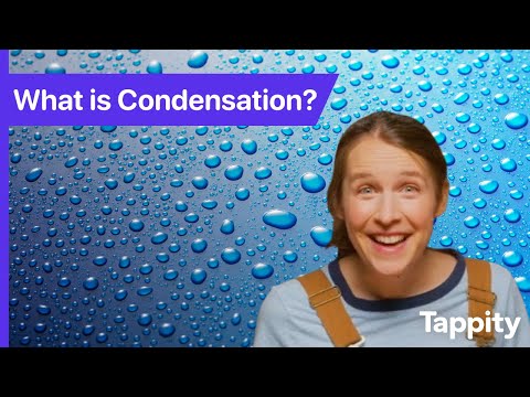What is Condensation? | Science for Kids | Ask Tappity: Science Questions & Answers
