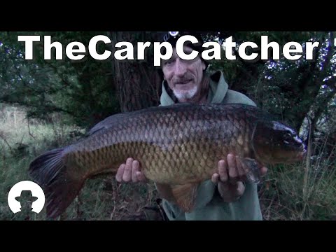 Linford lakes ~ Redhouse Part three - Carp fishing