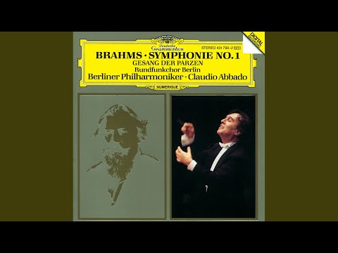 Brahms: Symphony No. 1 in C Minor, Op. 68 - III. Un poco allegretto e grazioso