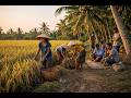 Đầy Tớ Dữ Và Biếng Nhác