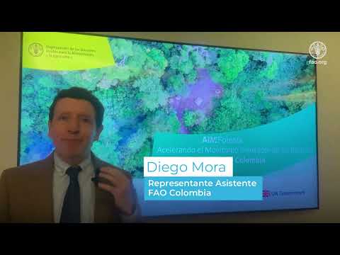 Lanzamiento del proyecto AIM4Forest Colombia 2024