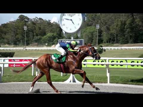 230121 c05 WARRIOR (BRZ)