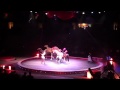 BB Circus Horses