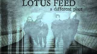 LOTUS FEED - End of Time