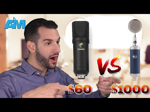 $60 microphone vs $1000 microphone : TONOR vs. Blue