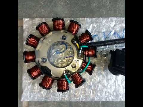 Stator. What is it? And what can burn it out, causing significant damage?