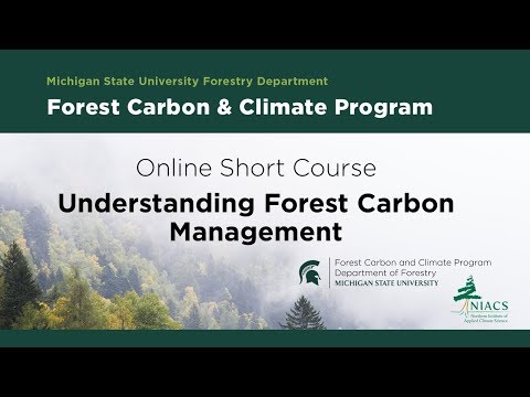 MSU FCCP Short Course Informational Webinar: Understanding Forest Carbon Management