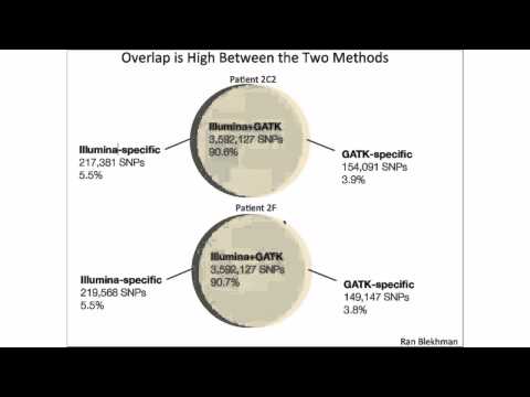 Whole Genome Sequencing for Rare Clinical and Consanguineous Familial Cases