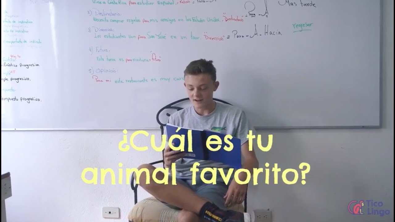 ¿Cuál es tu animal favorito?