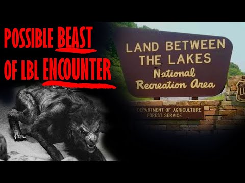 Possible Beast of LBL Encounter
