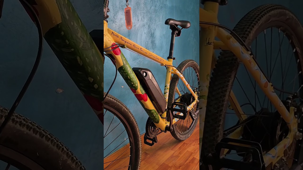 Concetta la bicicletta (152 - 174 cm) E Bike Entry level