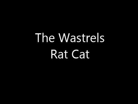 The Wastrels - Rat Cat