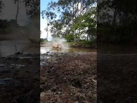 5º Trilhão de Baixa Grande de Inhambupe - BA Vídeo zap 12