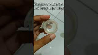 Download lagu Magical Water for Birds, Prove It!! More on the Bird Channel mp3