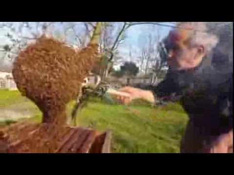 Massaggio video da prostatite BPH come identificare
