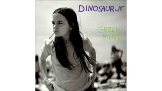 Dinosaur Jr. - Blowing It / I Live For That Look