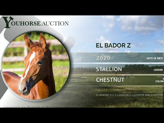 El Bador Z