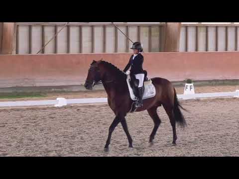 Iniciados 3 - Lara Carreira e Endiabrado