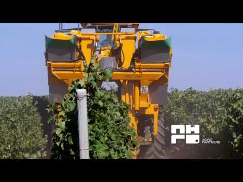 Gregoire G8.260 - combina pentru recoltarea mecanizata a strugurilor