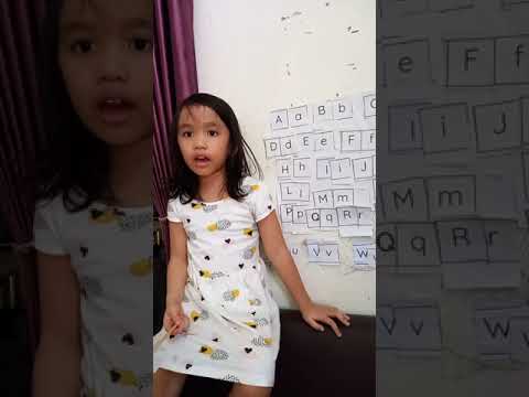 Upper case and Lower case of Alphabets by Gavrila S