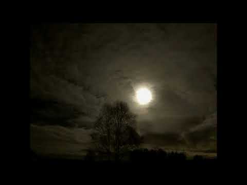 UFU JEBAC SZATANSKIE PSY