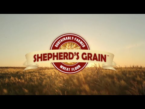 Sustainable Baking Solutions from Shepherd's Grain