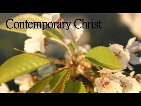 Cherophobia - Contemporary Christ