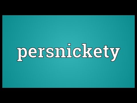 Persnickety Meaning