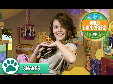 Wild Explorers - Snakes
