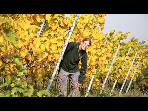 Evas Winzerinnen Sprechstunde - Teil 3