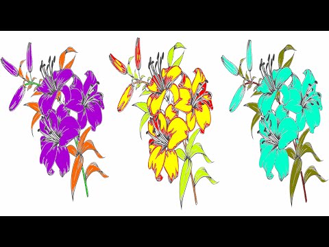 coloring flower pictures Video