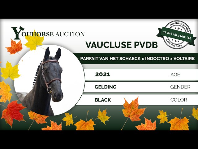 Vaucluse PVDB