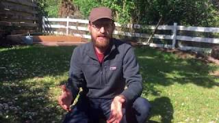 Infiltration investigation introduction