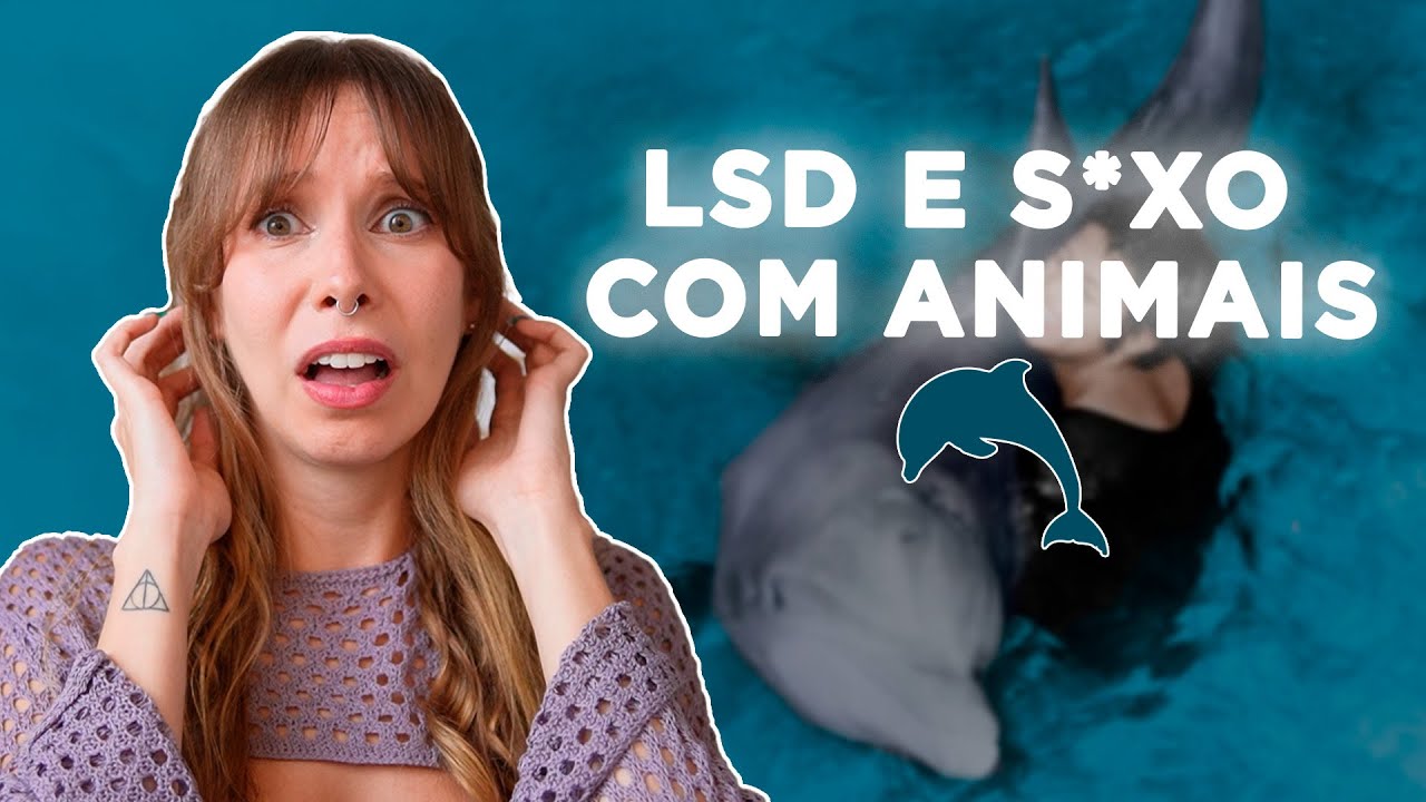 Dolphin Point: o experimento com golfinhos que deu terrivelmente errado