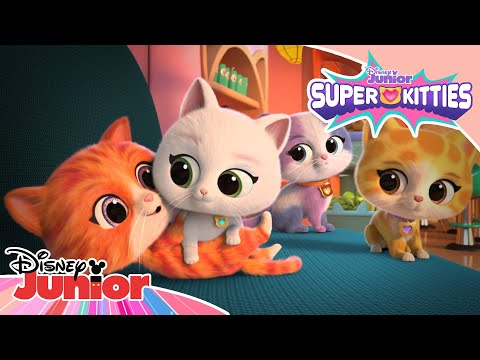 😻 La mulți ani de Ziua Pisicuțelor! | Super Pisicuțe | Disney Junior România