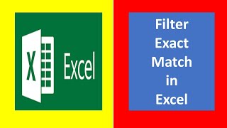 Filter exact match in excel | How do I filter and match in excel | #ritikadeducation