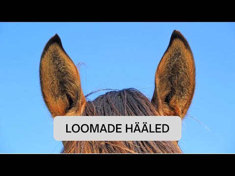 Loomade hääled