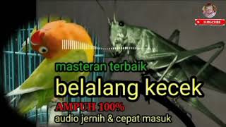 Download lagu masteran terbaik BELALANG KECEK 5 jam full mp3