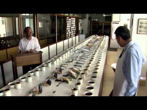 Luxmi Tea - A Century in Tea - 4min.