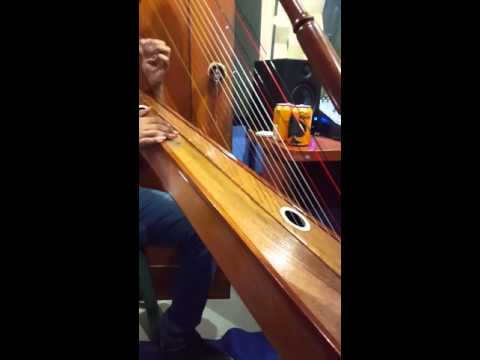 Siempre con el llano