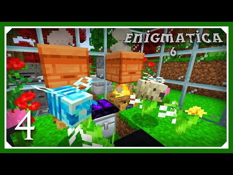 Enigmatica 6 Modpack | Automating Resourceful Bees! | E04 | 1.16.4 Modpack