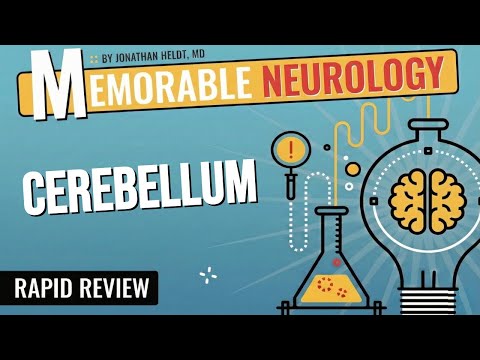 Cerebellum Mnemonics (Memorable Neurology Lecture 6)