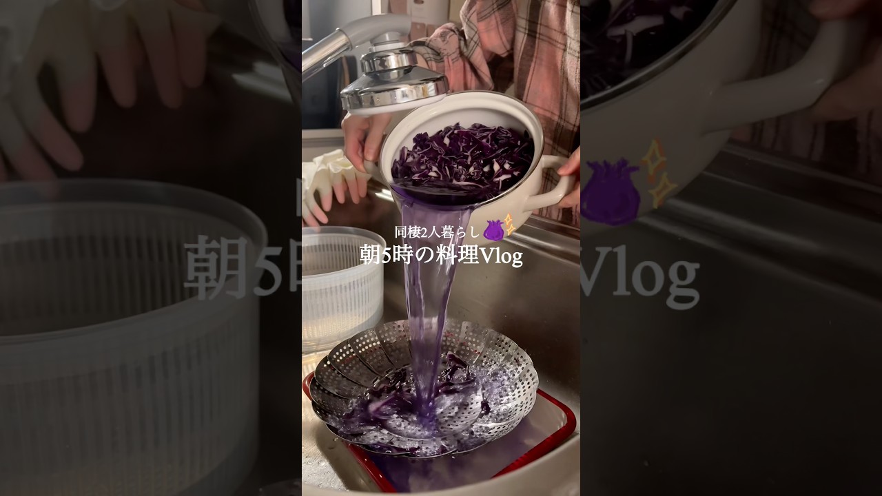 【同棲2人暮らし🏠】紫キャベツ常備菜２種