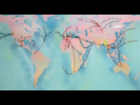 The KDMS - Terminal One