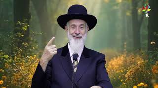 פרשת ראה 2025 | הרב יונה מצגר - מדהים! (ארגון ענפים) - התמונה מוצגת ישירות מתוך אתר האינטרנט יוטיוב. זכויות היוצרים בתמונה שייכות ליוצרה. קישור קרדיט למקור התוכן נמצא בתוך דף הסרטון פרשת ראה 2025 | הרב יונה מצגר - מדהים! (ארגון ענפים) - התמונה מוצגת ישירות מתוך אתר האינטרנט יוטיוב. זכויות היוצרים בתמונה שייכות ליוצרה. קישור קרדיט למקור התוכן נמצא בתוך דף הסרטון