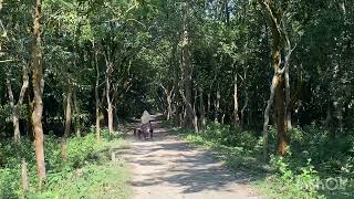গরু ও ছাগল চড়ানো, ফতেপুর, আটোয়ারী