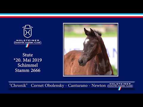 Holsteiner Elite-Fohlenauktion 2019 - Nr. 52 Chronik v. Cornet Obolensky-Canturano I
