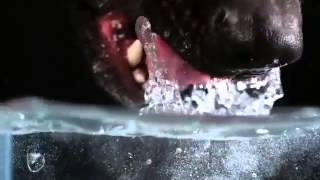 [問卦] 願意幫女生舔的男生多嗎？